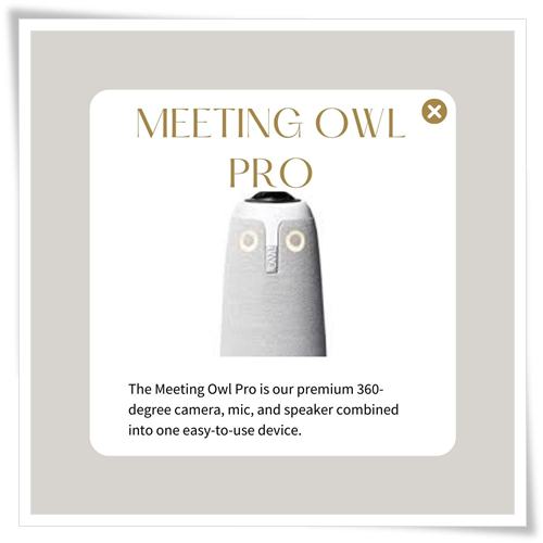 Meeting Owl Pro