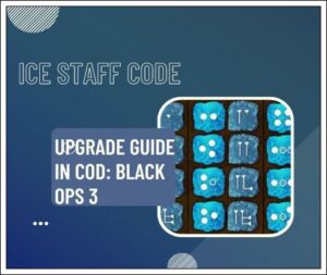 ice staff code