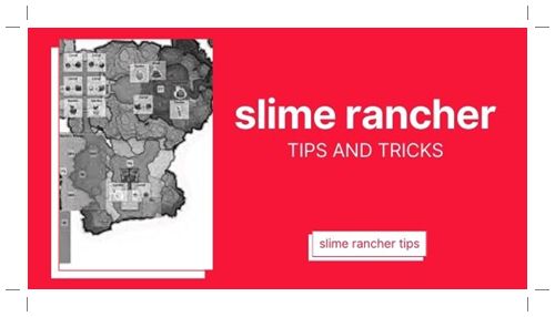 Beginner Guide Tips slime rancher tips