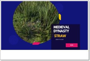 medieval dynasty straw