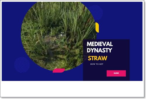 Medieval Dynasty How To Get Straw