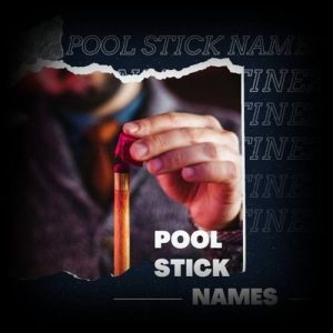 pool stick names