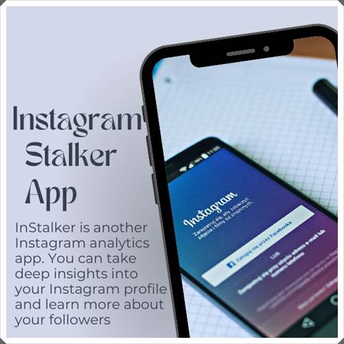 The Pros and Cons of Using an Instagram Stalker App