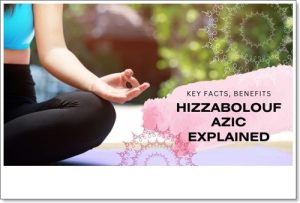 hizzaboloufazic
